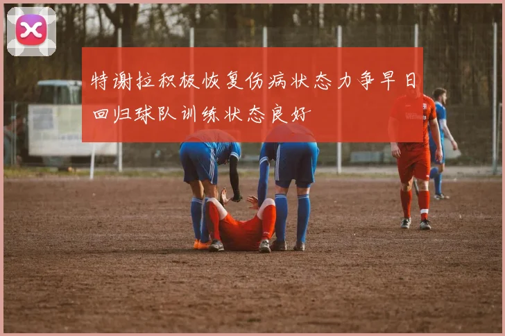 特谢拉积极恢复伤病状态力争早日回归球队训练状态良好