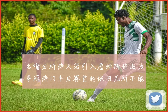 名嘴分析热火若引入詹姆斯将成为争冠热门季后赛首轮依旧无所不能