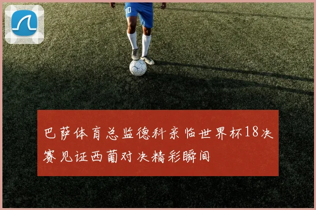 巴萨体育总监德科亲临世界杯18决赛见证西葡对决精彩瞬间